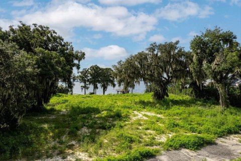 Terreno en venta en Windermere, Florida № 2104382 - foto 10
