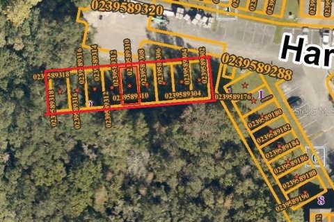 Land in Tampa, Florida № 1901287 - photo 1