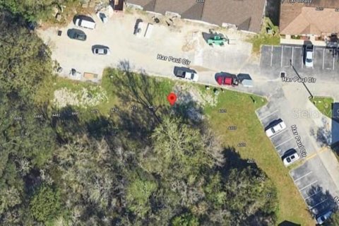 Land in Tampa, Florida № 1901287 - photo 3