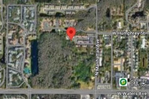 Land in Tampa, Florida № 1901287 - photo 4