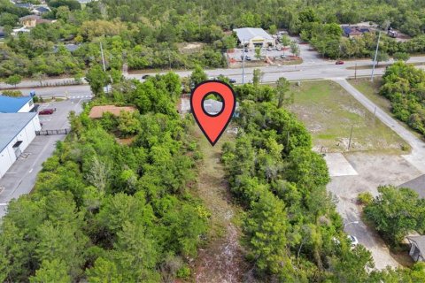 Commercial property in Deltona, Florida 133.41 sq.m. № 2214616 - photo 14