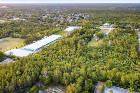 Commercial property in Deltona, Florida 133.41 sq.m. № 2214616 - photo 6