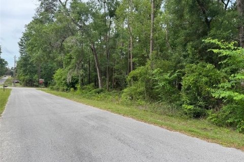 Terrain à vendre à Dunnellon, Floride № 2162412 - photo 3