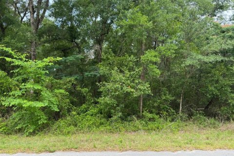 Terrain à Dunnellon, Floride № 2162412