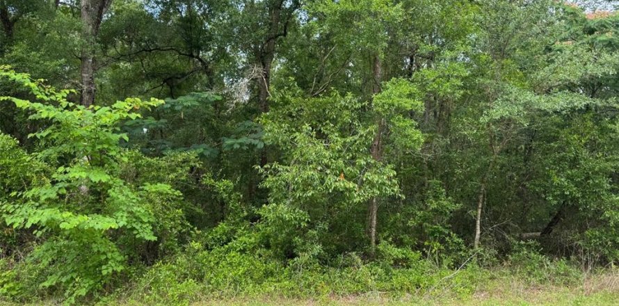 Terrain à Dunnellon, Floride № 2162412