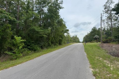 Terrain à vendre à Dunnellon, Floride № 2162412 - photo 4