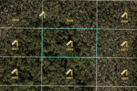 Land in Orlando, Florida № 2219146 - photo 2