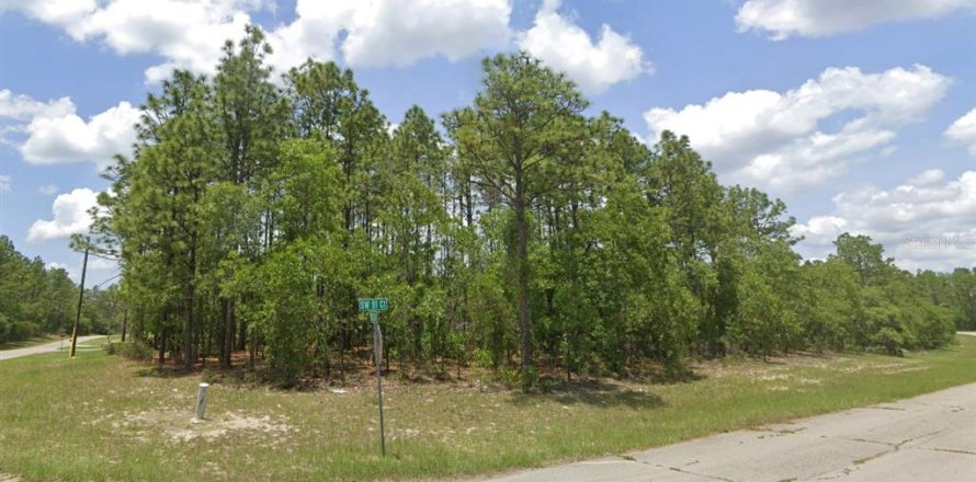 Land in Ocala, Florida № 2165430