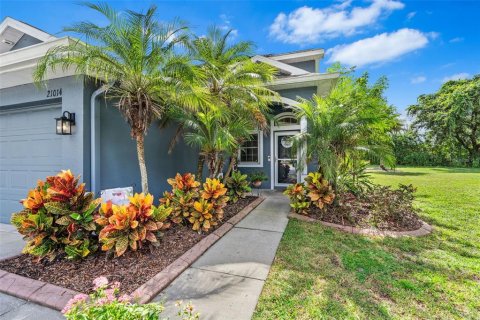 House in Land O' Lakes, Florida 4 bedrooms, 167.5 sq.m. № 1907619 - photo 6