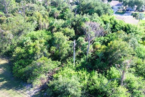 Land in Rotonda, Florida № 2162473 - photo 8