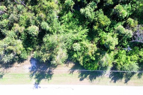 Land in Rotonda, Florida № 2162473 - photo 6