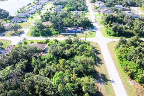 Land in Rotonda, Florida № 2162473 - photo 4