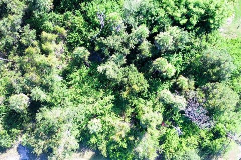 Land in Rotonda, Florida № 2162473 - photo 3