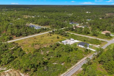 Land in Lehigh Acres, Florida № 2165497 - photo 9