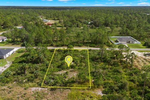 Land in Lehigh Acres, Florida № 2165497 - photo 18