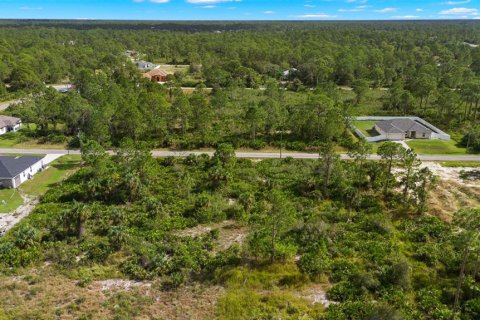 Land in Lehigh Acres, Florida № 2165497 - photo 17