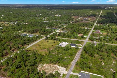 Land in Lehigh Acres, Florida № 2165497 - photo 22