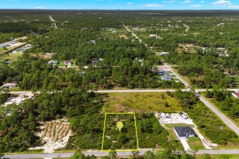 Land in Lehigh Acres, Florida № 2165497 - photo 8