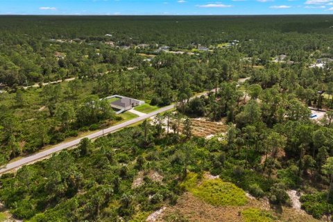 Land in Lehigh Acres, Florida № 2165497 - photo 19