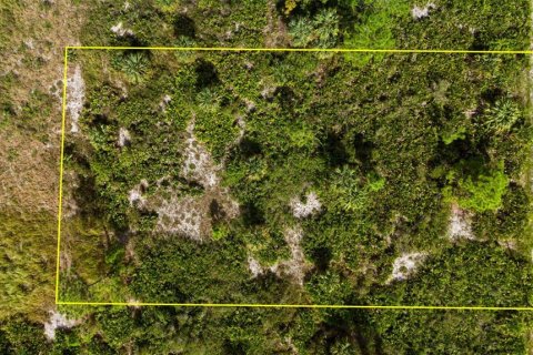 Land in Lehigh Acres, Florida № 2165497