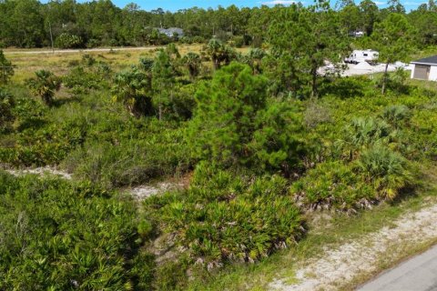 Land in Lehigh Acres, Florida № 2165497 - photo 4