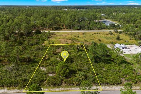 Land in Lehigh Acres, Florida № 2165497 - photo 2