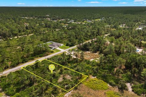 Land in Lehigh Acres, Florida № 2165497 - photo 20