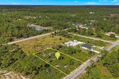 Land in Lehigh Acres, Florida № 2165497 - photo 10
