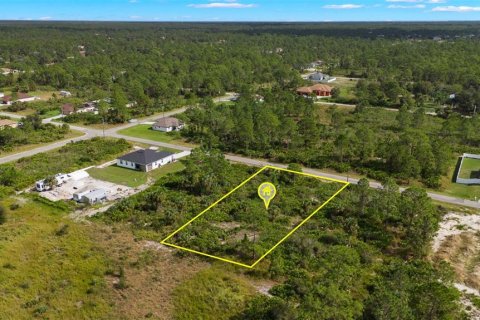 Land in Lehigh Acres, Florida № 2165497 - photo 16