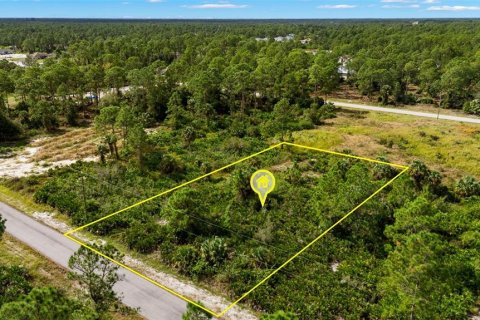 Land in Lehigh Acres, Florida № 2165497 - photo 3