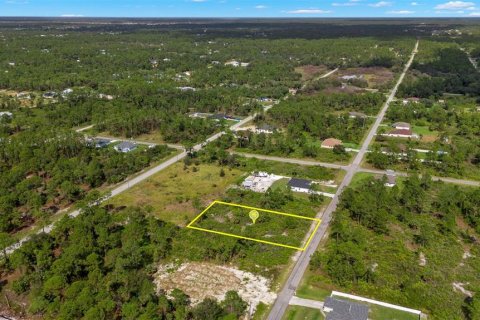 Land in Lehigh Acres, Florida № 2165497 - photo 23