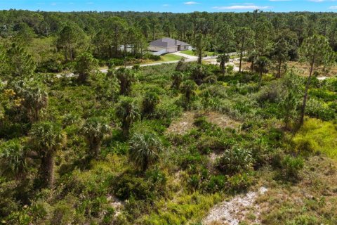 Land in Lehigh Acres, Florida № 2165497 - photo 14