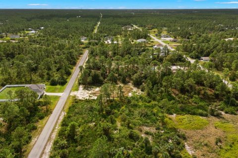 Land in Lehigh Acres, Florida № 2165497 - photo 21