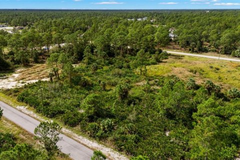 Land in Lehigh Acres, Florida № 2165497 - photo 6