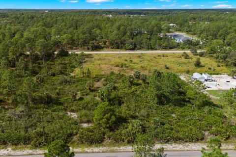 Land in Lehigh Acres, Florida № 2165497 - photo 5