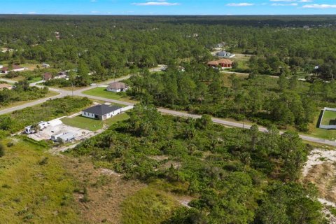 Land in Lehigh Acres, Florida № 2165497 - photo 15