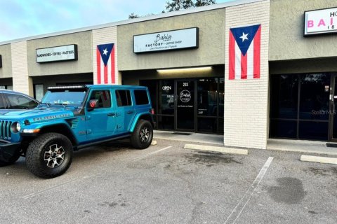 Commercial property in Tampa, Florida № 1422534 - photo 1
