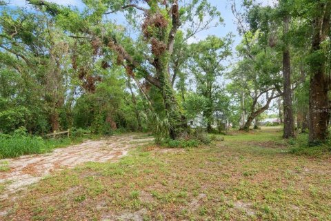 Casa en venta en Plant City, Florida, 3 dormitorios, 157.47 m2 № 2219720 - foto 25