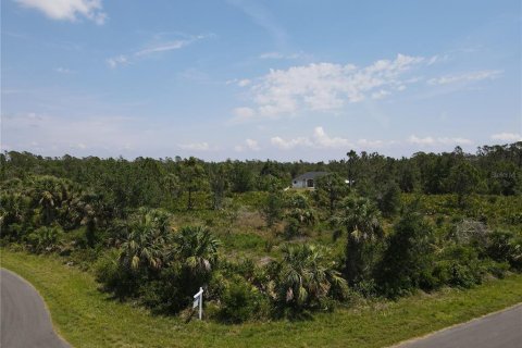 Land in Port Charlotte, Florida № 2160221 - photo 8