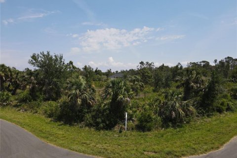 Land in Port Charlotte, Florida № 2160221 - photo 6