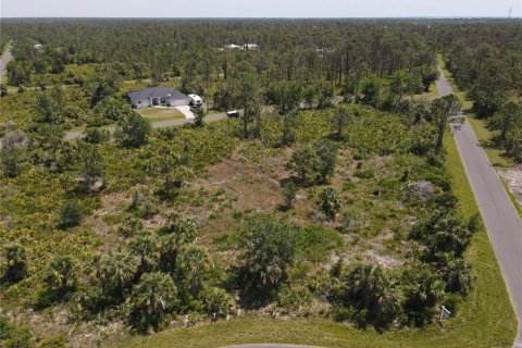 Land in Port Charlotte, Florida № 2160221 - photo 5