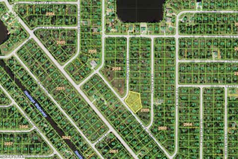 Land in Port Charlotte, Florida № 2160221 - photo 3