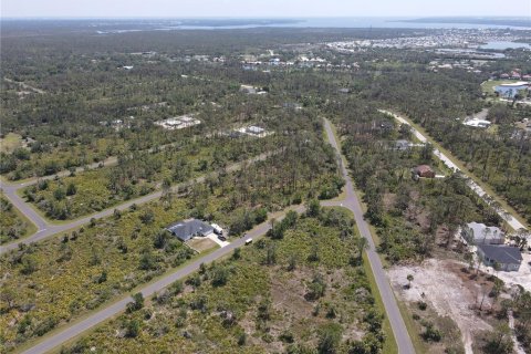 Land in Port Charlotte, Florida № 2160221 - photo 10