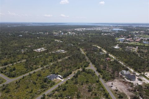 Land in Port Charlotte, Florida № 2160221 - photo 11