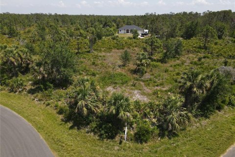 Land in Port Charlotte, Florida № 2160221 - photo 7