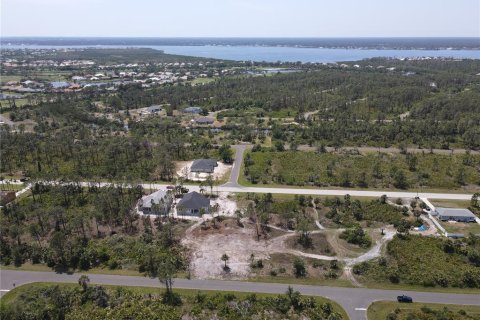Land in Port Charlotte, Florida № 2160221 - photo 9