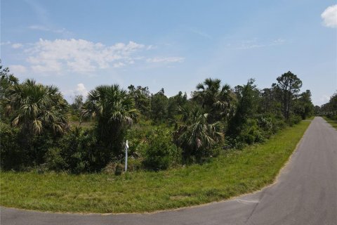 Land in Port Charlotte, Florida № 2160221 - photo 4