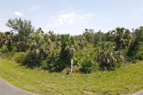 Land in Port Charlotte, Florida № 2160221
