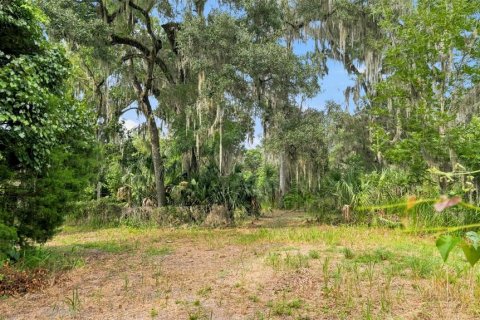 Terrain à vendre à Brooksville, Floride № 2211312 - photo 3