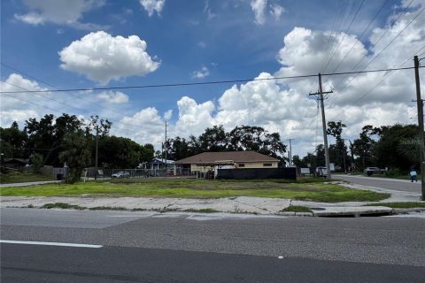 Land in Tampa, Florida № 1879607 - photo 3